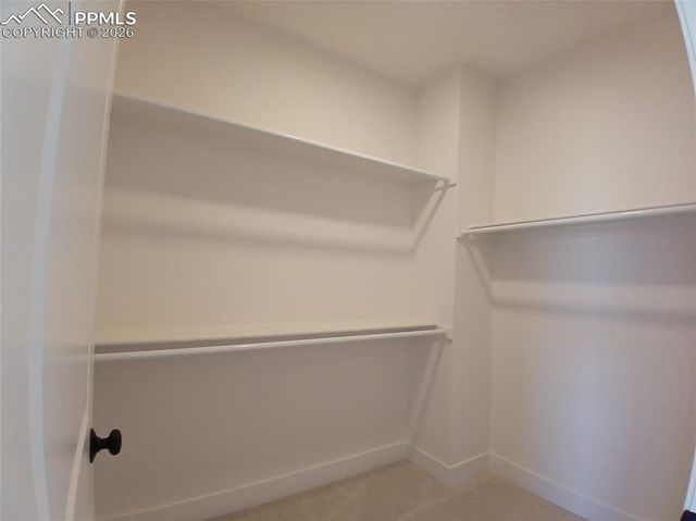 19981 Cloudfield Point, Colorado Springs, CO 80928