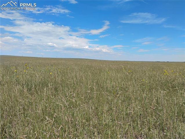 19981 Cloudfield Point, Colorado Springs, CO 80928