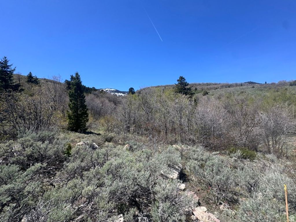Image 5 of property listing at 425 Hickock Dr 310, Fish Haven, ID 83287