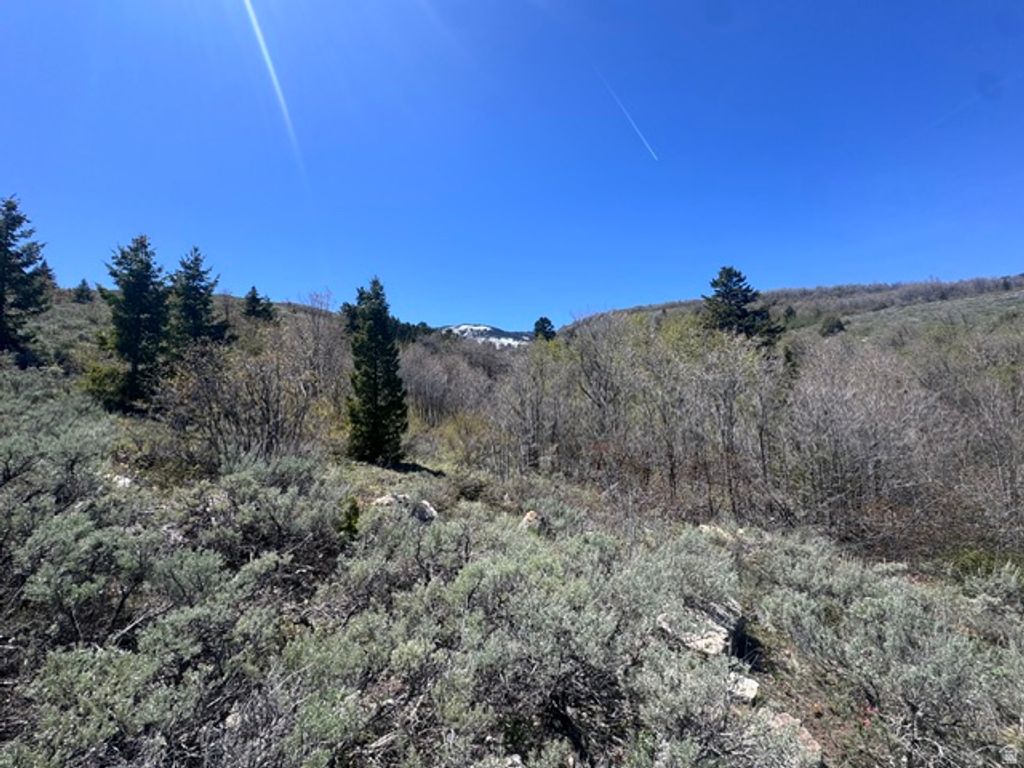 Image 6 of property listing at 425 Hickock Dr 310, Fish Haven, ID 83287