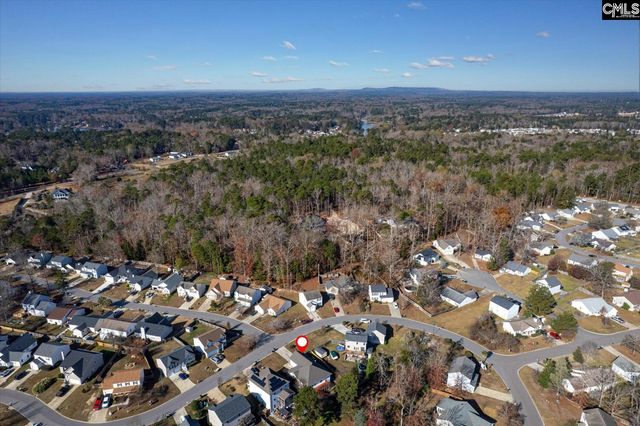 119 Stoney Pointe Drive, Chapin, SC 29036