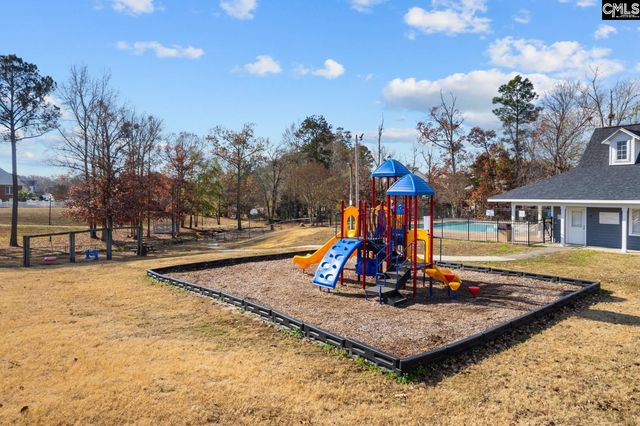 119 Stoney Pointe Drive, Chapin, SC 29036