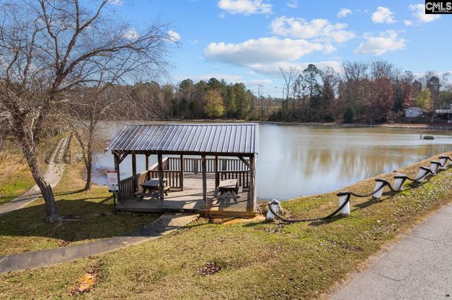 119 Stoney Pointe Drive, Chapin, SC 29036