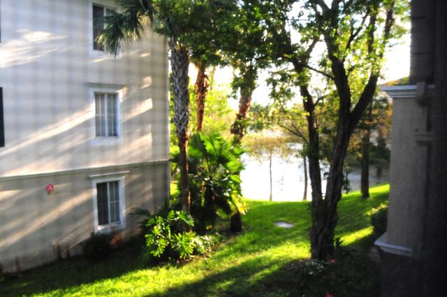 11685 W Atlantic Boulevard 923, Coral Springs, FL 33071