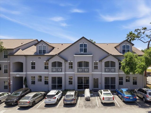 5007 SUNRIDGE PALMS DRIVE, Tampa, FL 33617