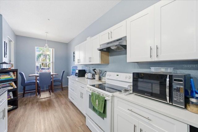 5007 SUNRIDGE PALMS DRIVE, Tampa, FL 33617