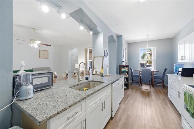 5007 SUNRIDGE PALMS DRIVE, Tampa, FL 33617