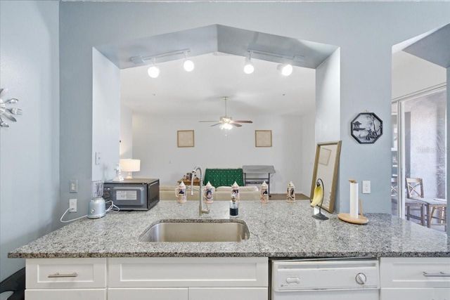 5007 SUNRIDGE PALMS DRIVE, Tampa, FL 33617