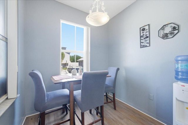 5007 SUNRIDGE PALMS DRIVE, Tampa, FL 33617