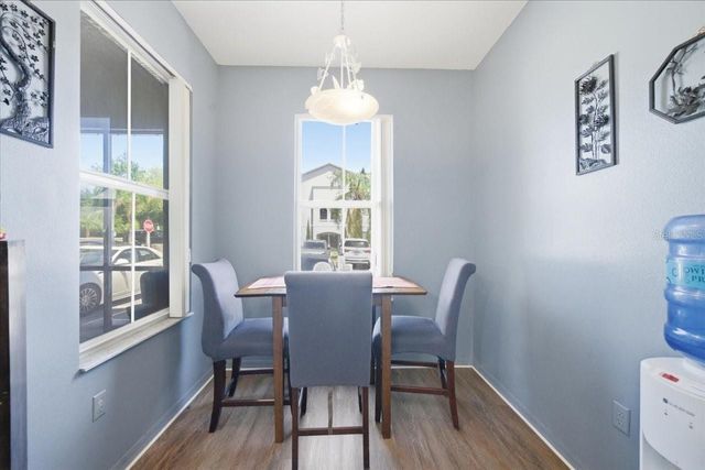 5007 SUNRIDGE PALMS DRIVE, Tampa, FL 33617