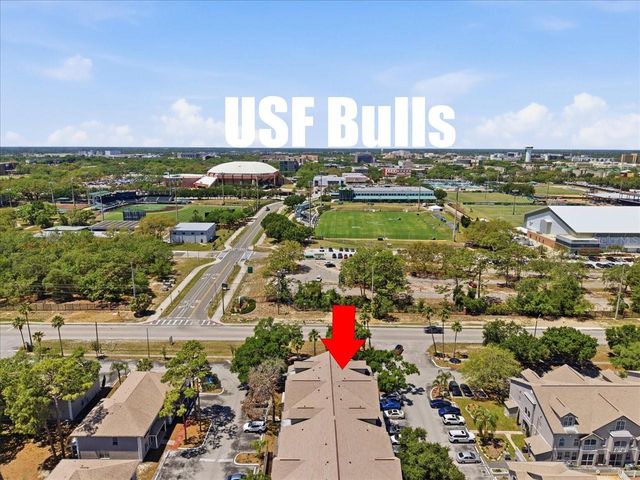 5007 SUNRIDGE PALMS DRIVE, Tampa, FL 33617