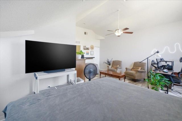 5007 SUNRIDGE PALMS DRIVE, Tampa, FL 33617