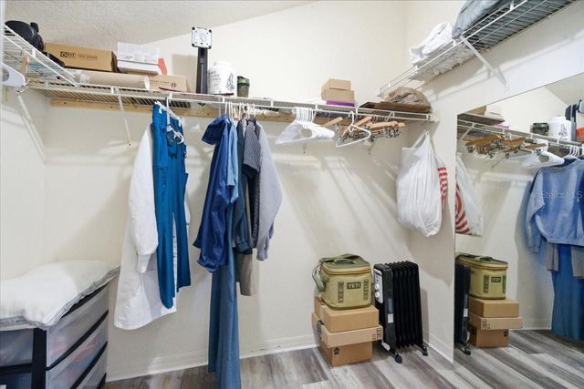 5007 SUNRIDGE PALMS DRIVE, Tampa, FL 33617