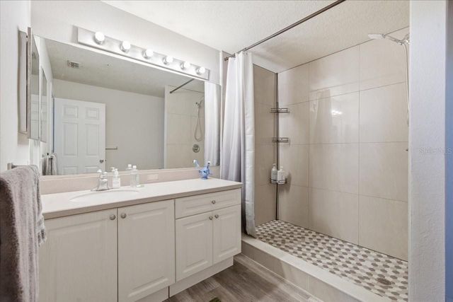 5007 SUNRIDGE PALMS DRIVE, Tampa, FL 33617