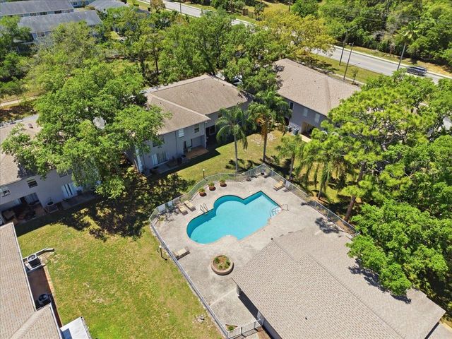 5007 SUNRIDGE PALMS DRIVE, Tampa, FL 33617