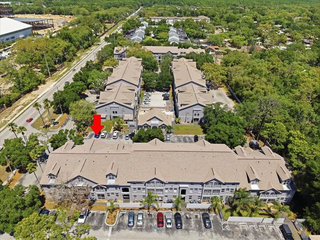 5007 SUNRIDGE PALMS DRIVE, Tampa, FL 33617