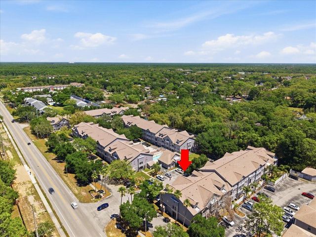 5007 SUNRIDGE PALMS DRIVE, Tampa, FL 33617