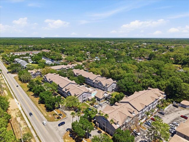 5007 SUNRIDGE PALMS DRIVE, Tampa, FL 33617