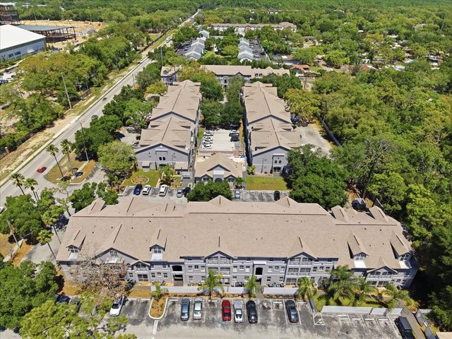 5007 SUNRIDGE PALMS DRIVE, Tampa, FL 33617