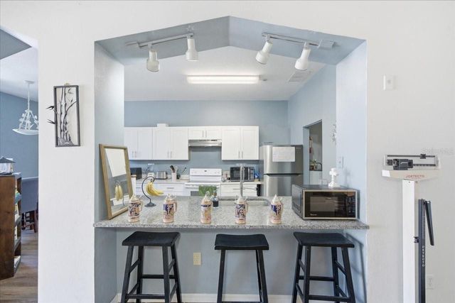 5007 SUNRIDGE PALMS DRIVE, Tampa, FL 33617