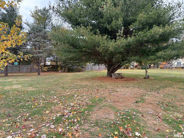 1249 WOODS Lane, Jacksonville, IL 62650