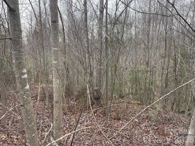 0 Jim McCall Road, Morganton, NC 28655