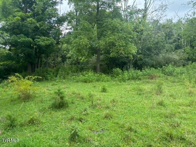 444 Bullock Hollow Road, Bristol, TN 37620