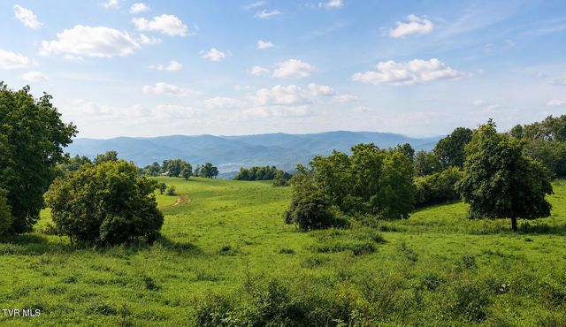 444 Bullock Hollow Road, Bristol, TN 37620
