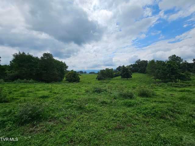 444 Bullock Hollow Road, Bristol, TN 37620