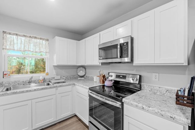 317 Cinerea Way, Greer, SC 29651