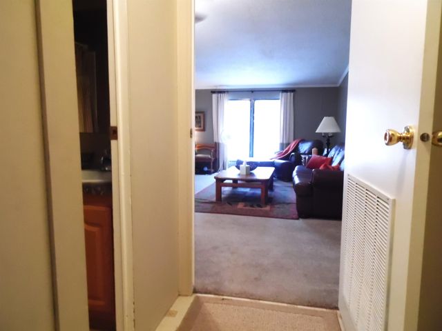 6213 Hillside Drive, Alger, MI 48371