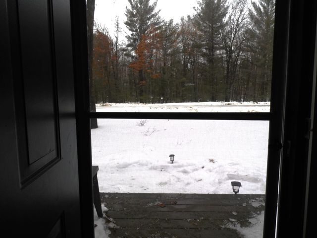 6213 Hillside Drive, Alger, MI 48371