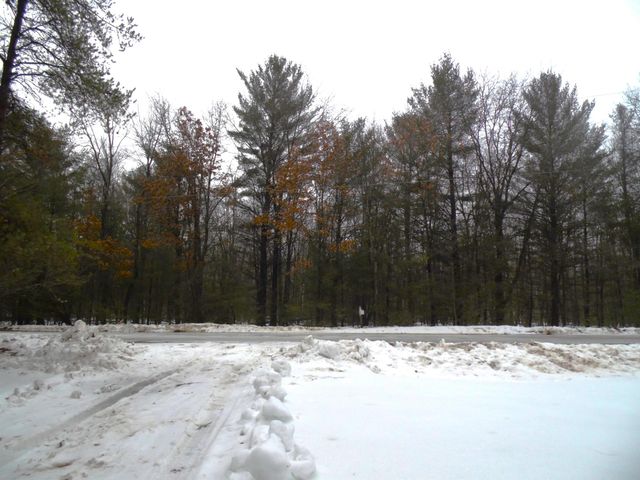 6213 Hillside Drive, Alger, MI 48371