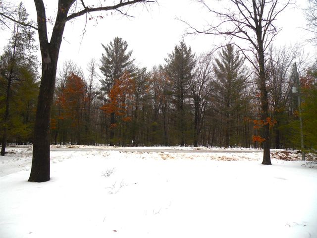 6213 Hillside Drive, Alger, MI 48371