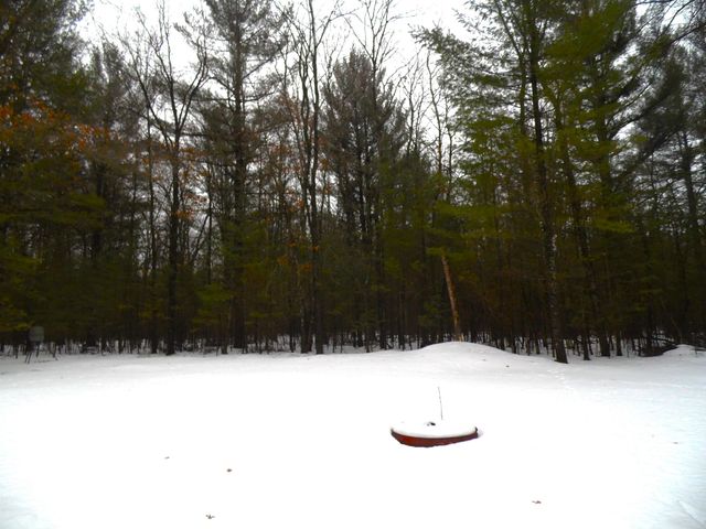 6213 Hillside Drive, Alger, MI 48371