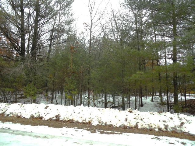 6213 Hillside Drive, Alger, MI 48371