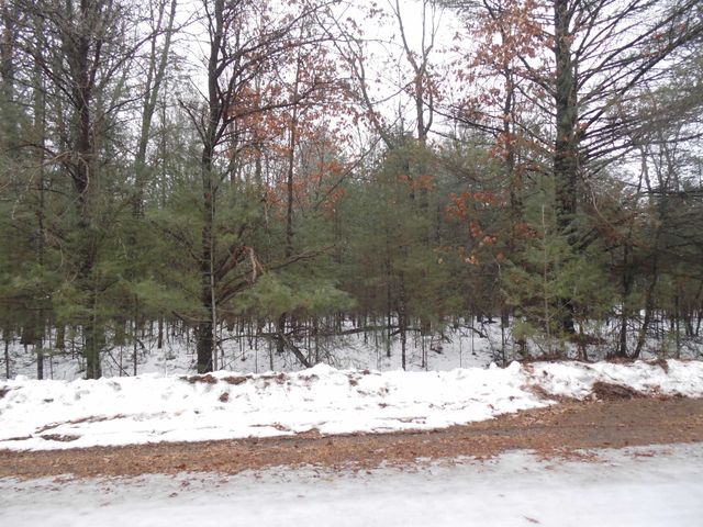 6213 Hillside Drive, Alger, MI 48371