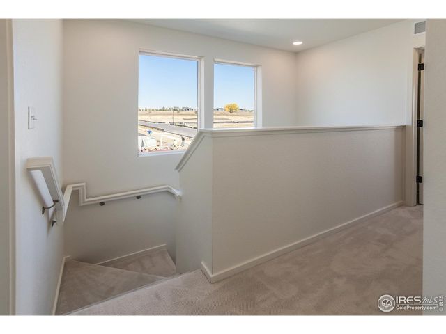 979 Trumpet Ln, Windsor, CO 80550