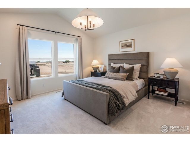 979 Trumpet Ln, Windsor, CO 80550