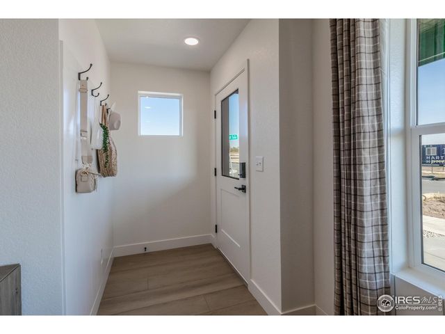 979 Trumpet Ln, Windsor, CO 80550