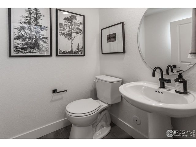 979 Trumpet Ln, Windsor, CO 80550