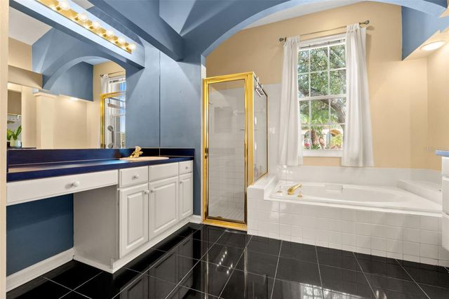 18118 SWEET JASMINE DRIVE, Tampa, FL 33647