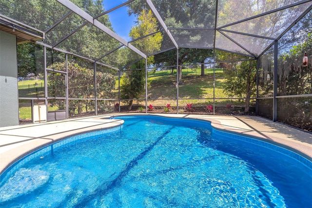 16846 FLORENCE VIEW DRIVE, Montverde, FL 34756