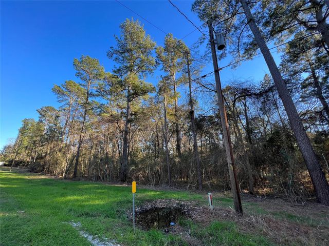 290 Greenbriar Drive, Magnolia, TX 77355