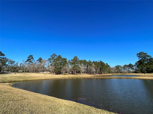 290 Greenbriar Drive, Magnolia, TX 77355