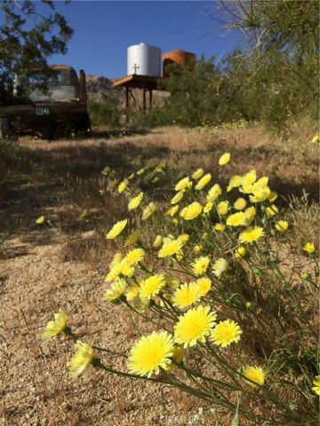 68033 Sullivan Road, 29 Palms, CA 92277