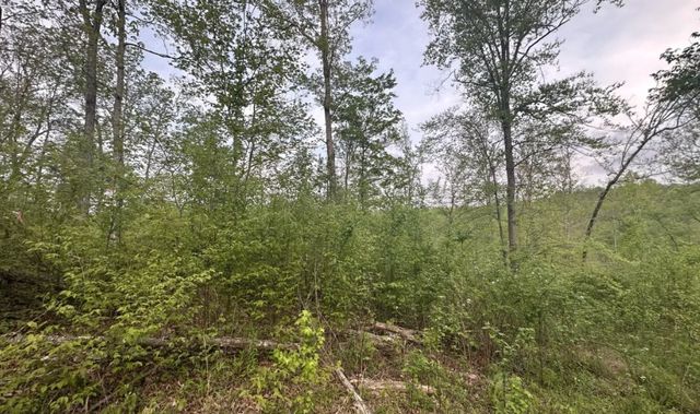 39 Ivy Hollow Ln, Stewart, TN 37175