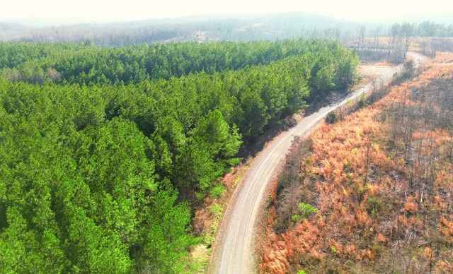 39 Ivy Hollow Ln, Stewart, TN 37175