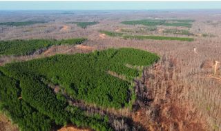 39 Ivy Hollow Ln, Stewart, TN 37175