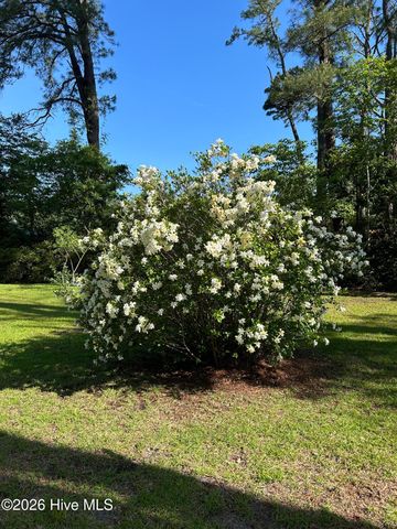 802 Pinetree Drive, New Bern, NC 28562